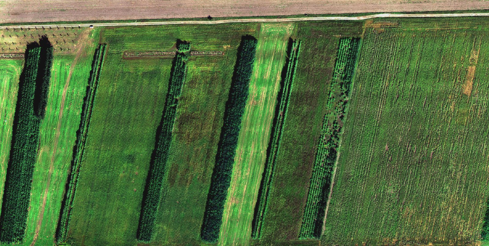 Storymap: Agroforstsystem Peickwitz